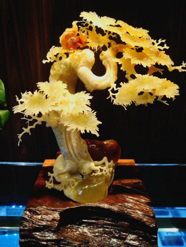 src=http://www.yaotushu.com/skin/default/image/nopic.gif